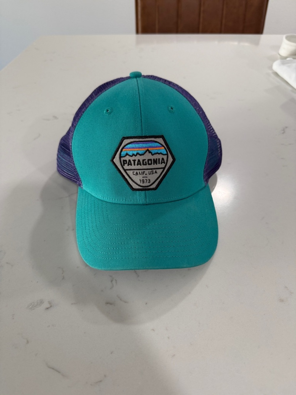 Patagonia Teal Front Purple Mesh Trucker Hat